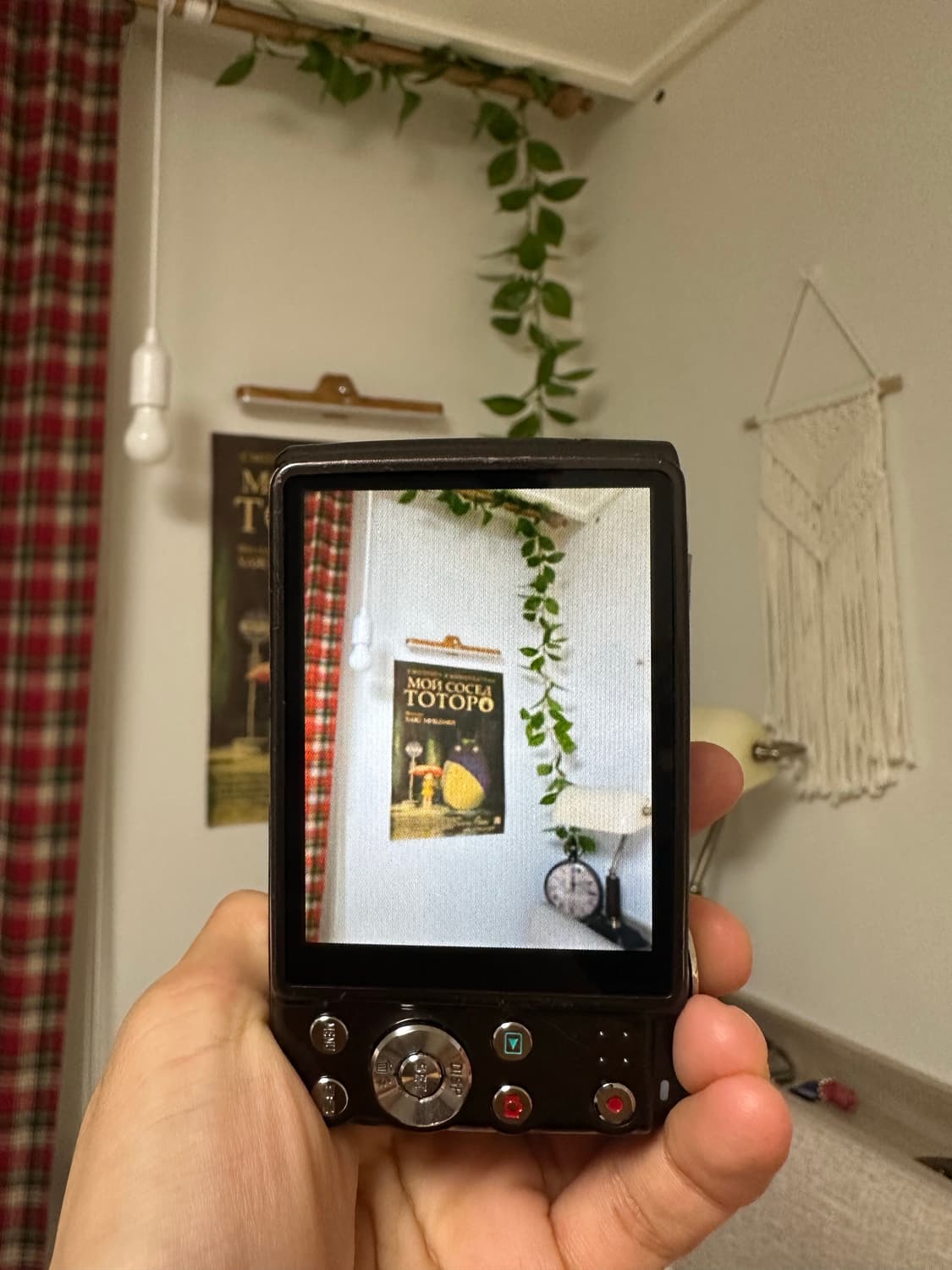 카시오 엑슬림 z400 디카/디지털카메라 (브라운) 상품이미지3