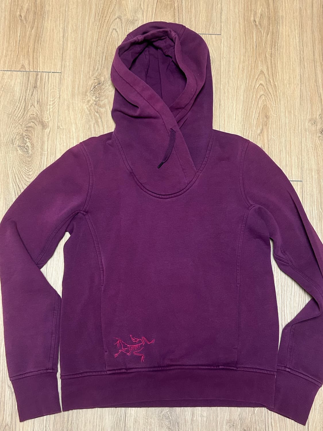 아크테릭스 빅로고 후드티 상품이미지1