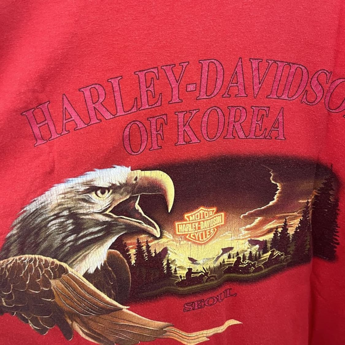 할리 데이비슨 빈티지 스트릿 펑크 레이싱 반팔티 M C11872 상품이미지6