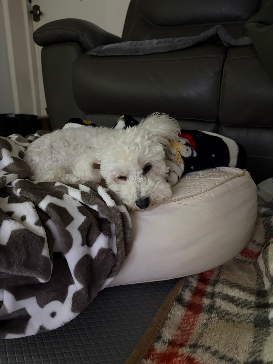 아메리칸 이글 아웃피터스 스트라이프 숄카라 니트 가디건(S) 상품이미지9