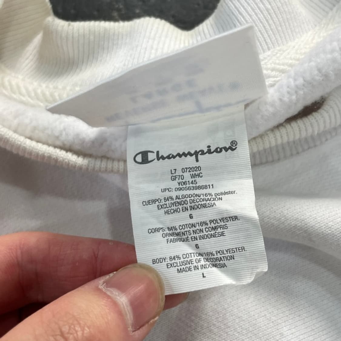 100 챔피언 리버스위브 맨투맨 상품이미지4