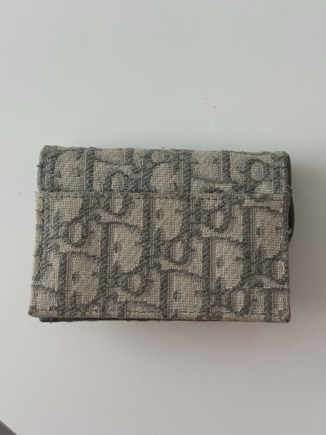 디올 새들 지갑 상품이미지2