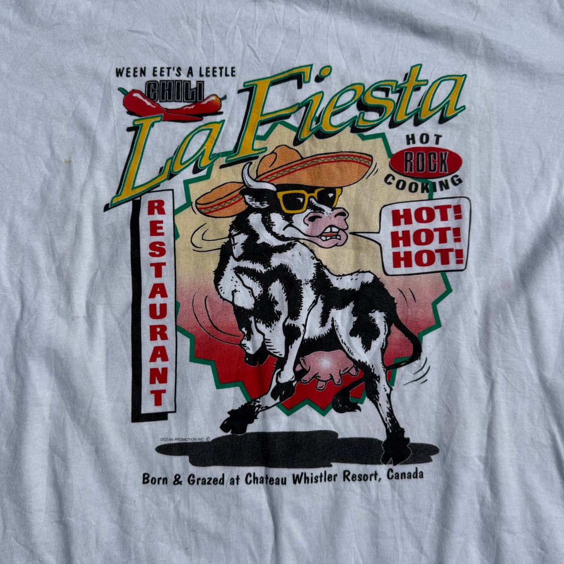 [XL] 90s 빈티지 프린팅 티셔츠 상품이미지6
