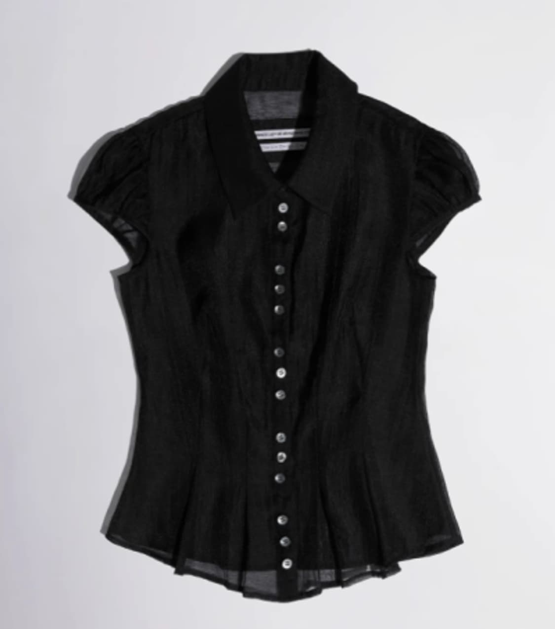 (S)새상품 스컬프터 쉬어 블라우스 Sheer Pleated Blouse 상품이미지2