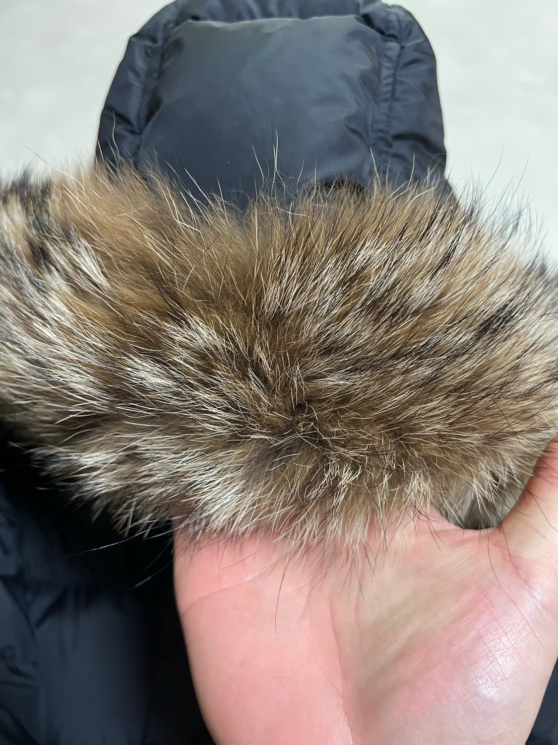 몽클레어 클루니 6 사이즈 상품이미지4