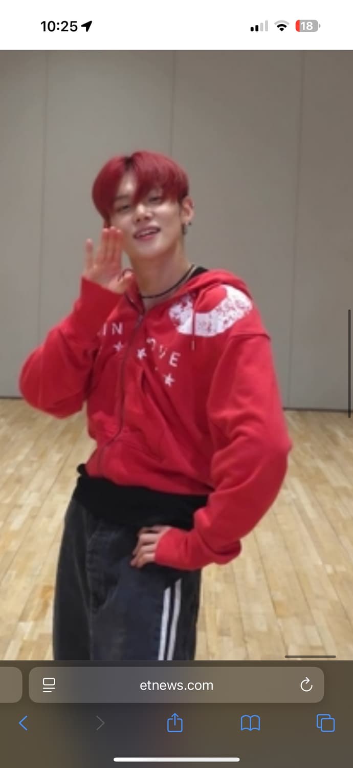 Vain VVIN LOVE hoodie 상품이미지6