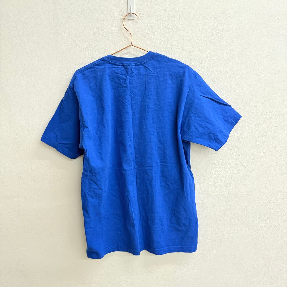 FUTURE DREAM 빈티지 네이쳐쉘터 티셔츠 (XL) 상품이미지3