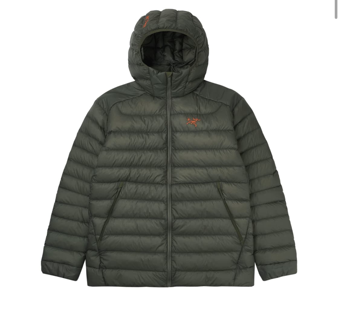 [L] 아크테릭스 세륨후디 포리지 베르베 새상품 상품이미지1