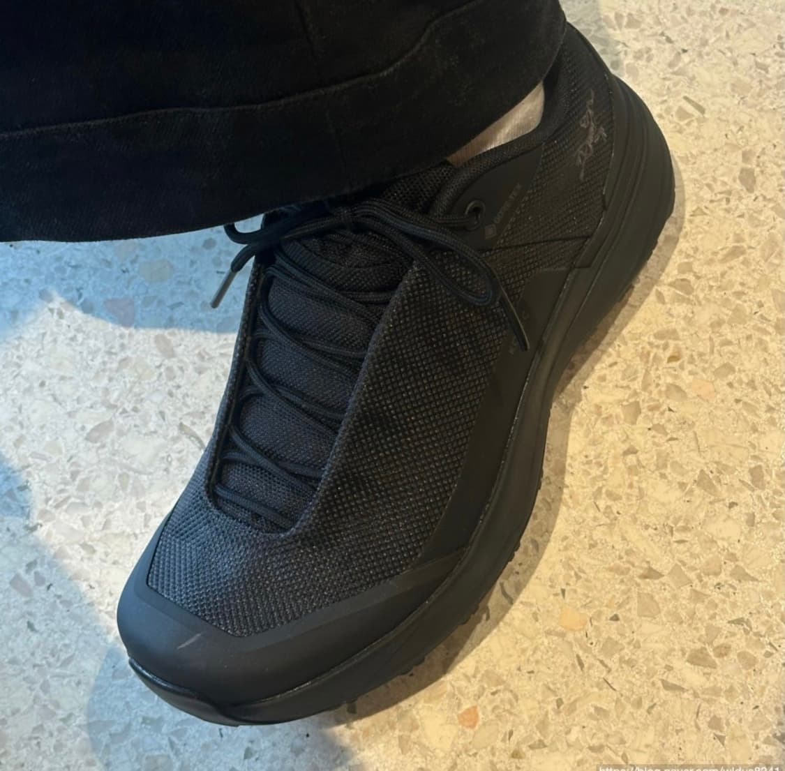 아크테릭스 코펙 gtx 상품이미지6