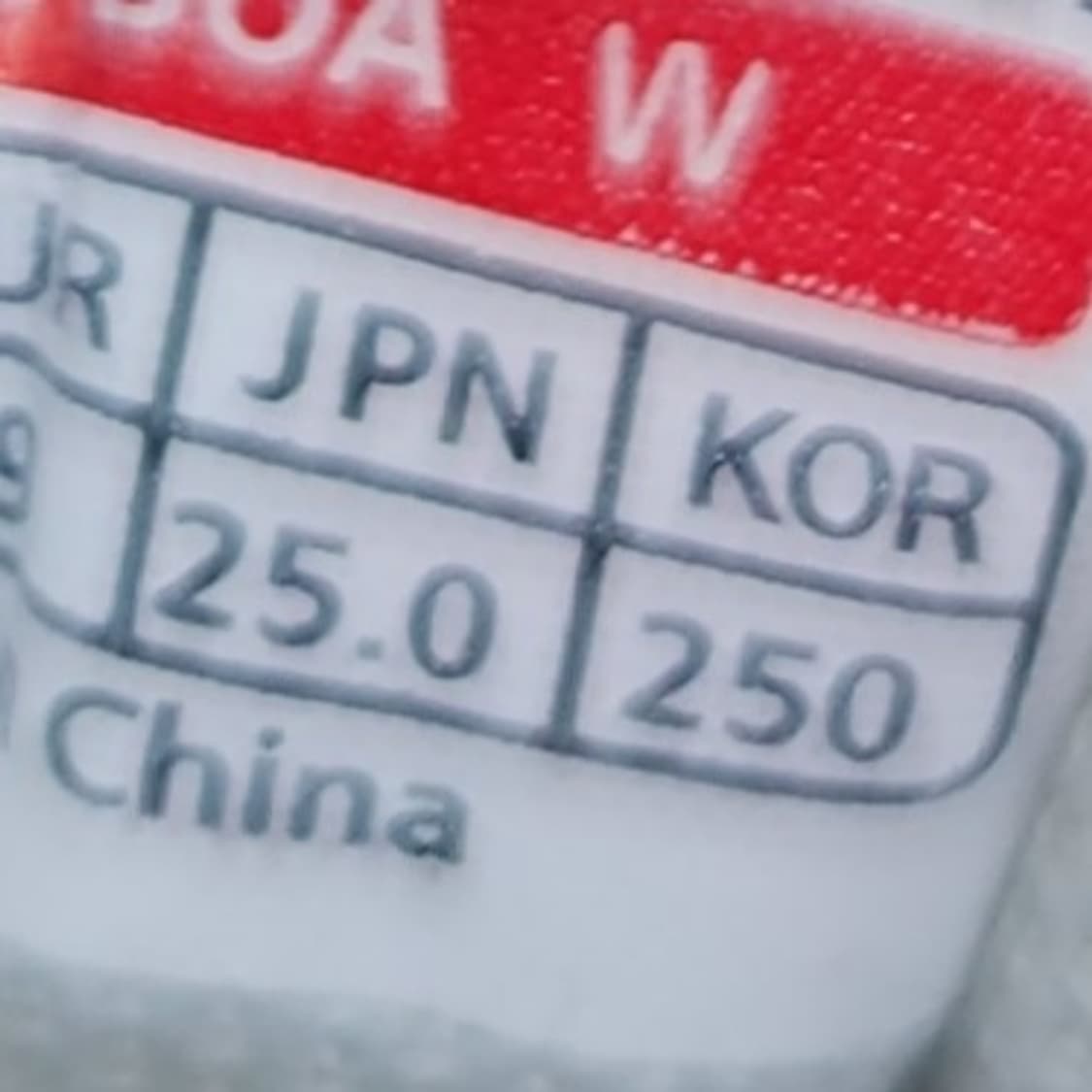 트렉스타  트레킹화 250 상품이미지6