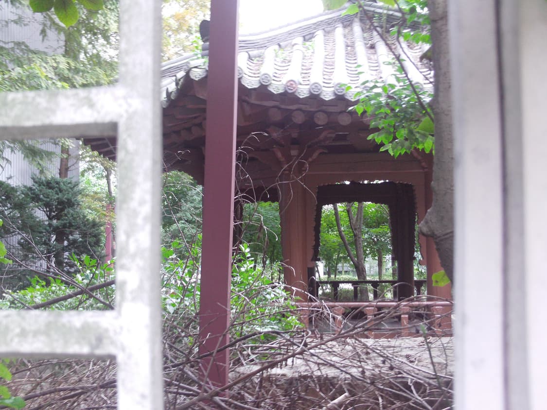 DXG 535V 화이트 캠코더 상품이미지4