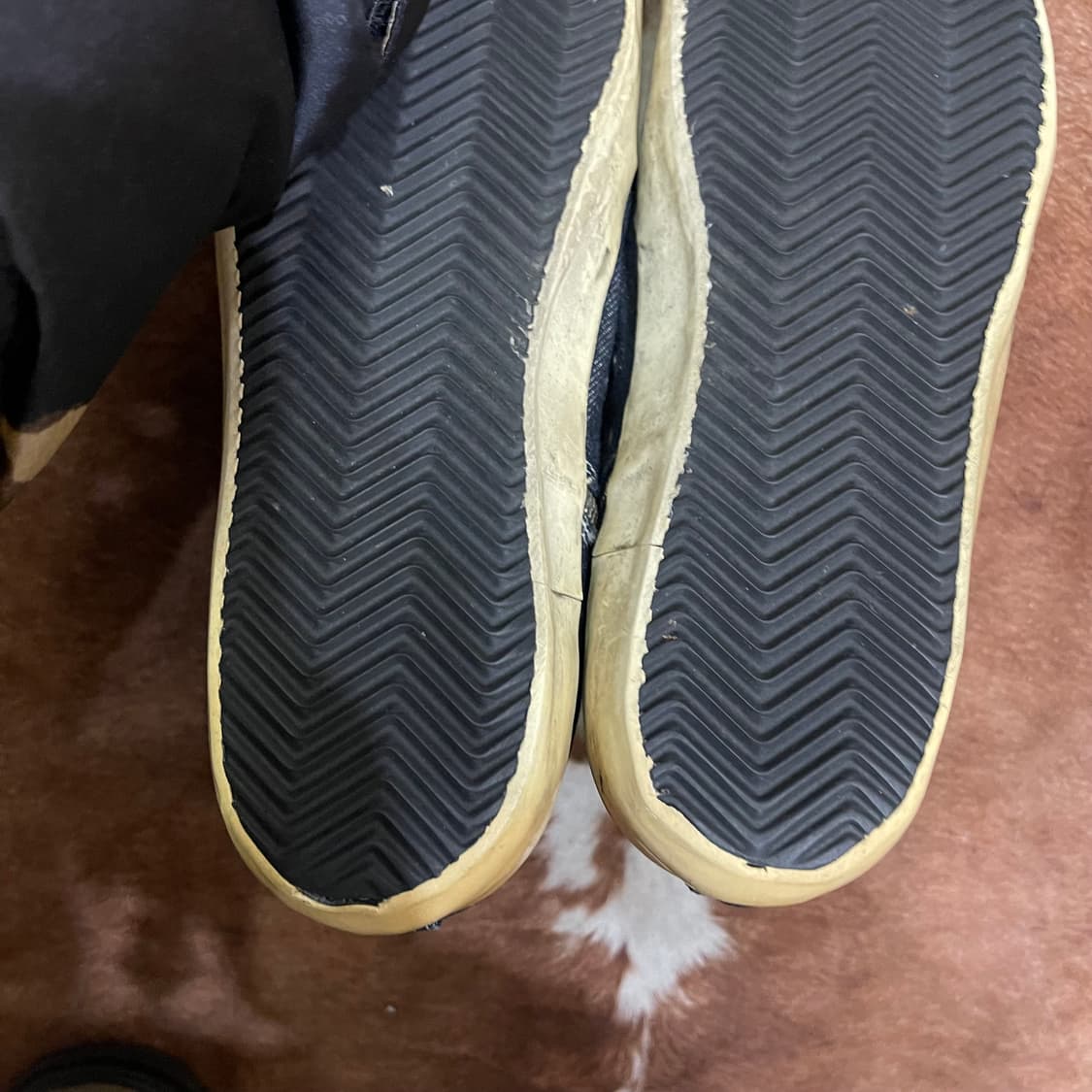 골든구스 프란시 41사이즈 상품이미지7