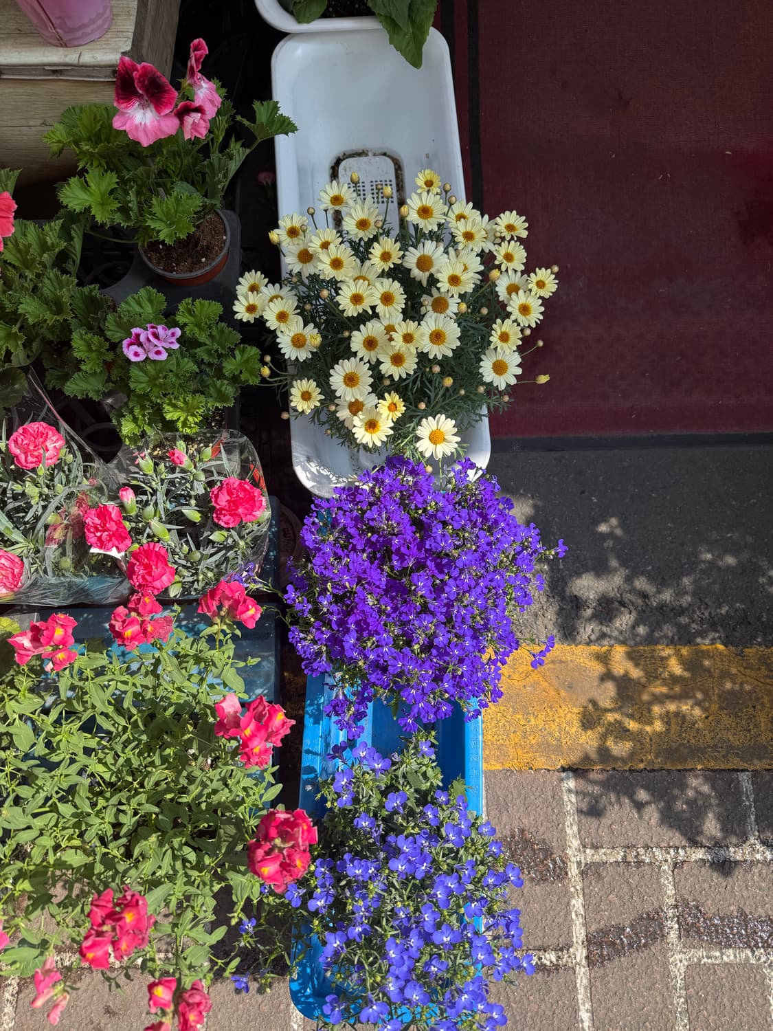 캐논 ixy3 (ixus500) 구합니다  상품이미지1