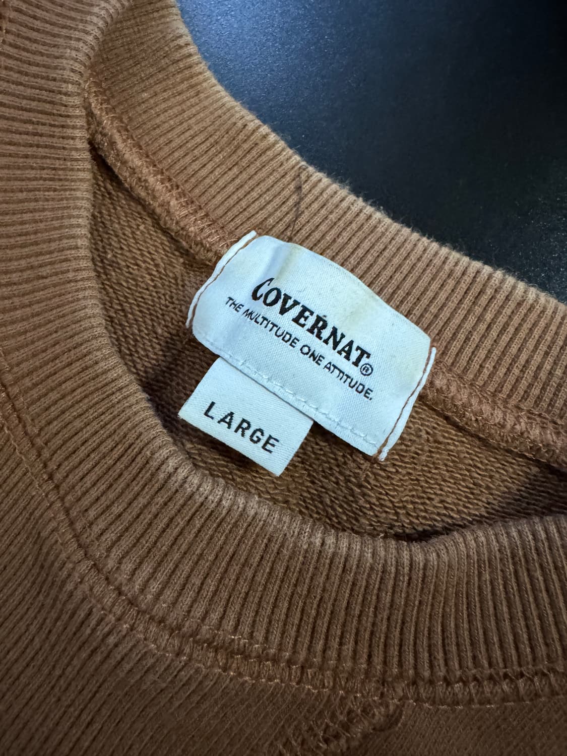 커버낫 C 빅 로고 된장 스웻 맨투맨 L 상품이미지3