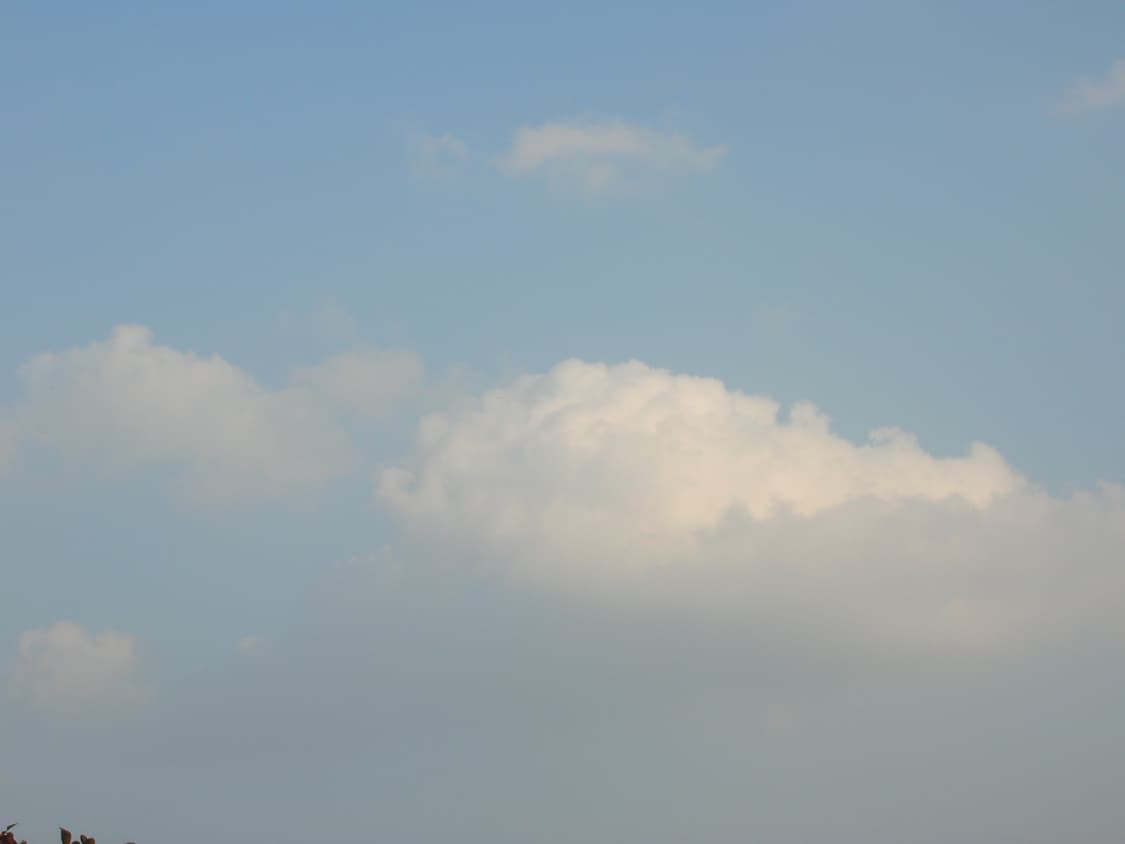 니콘 쿨픽스 5600 블루🩵 상품이미지10