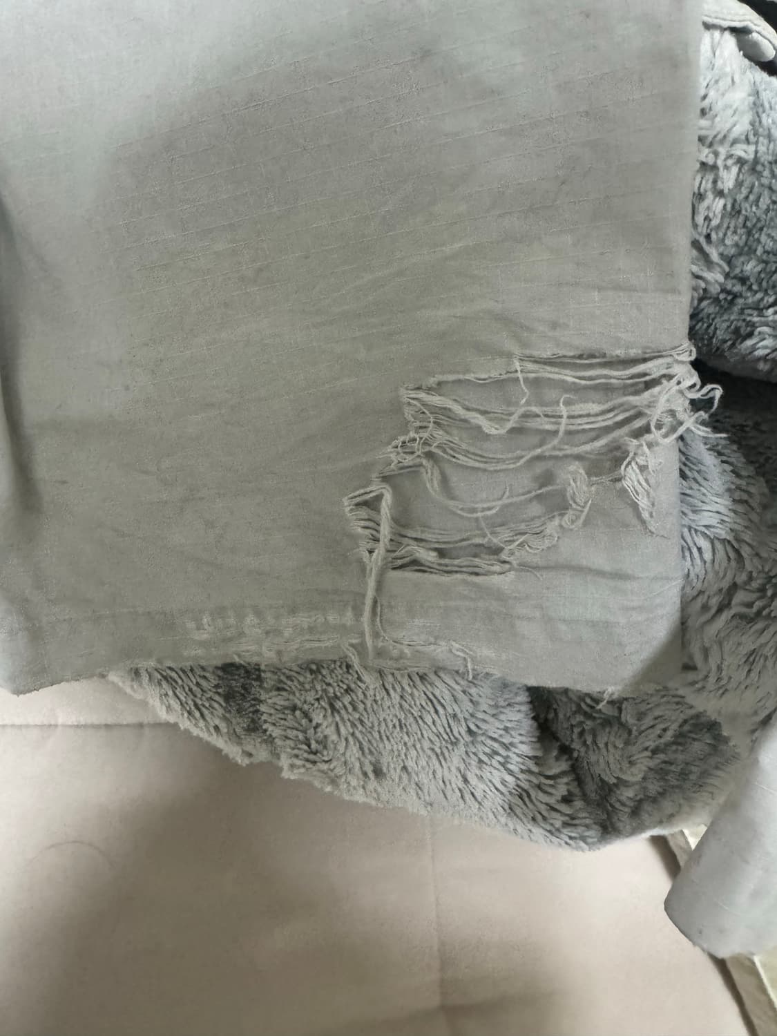 발렌시아가 디스트 라지 카고바지 상품이미지5