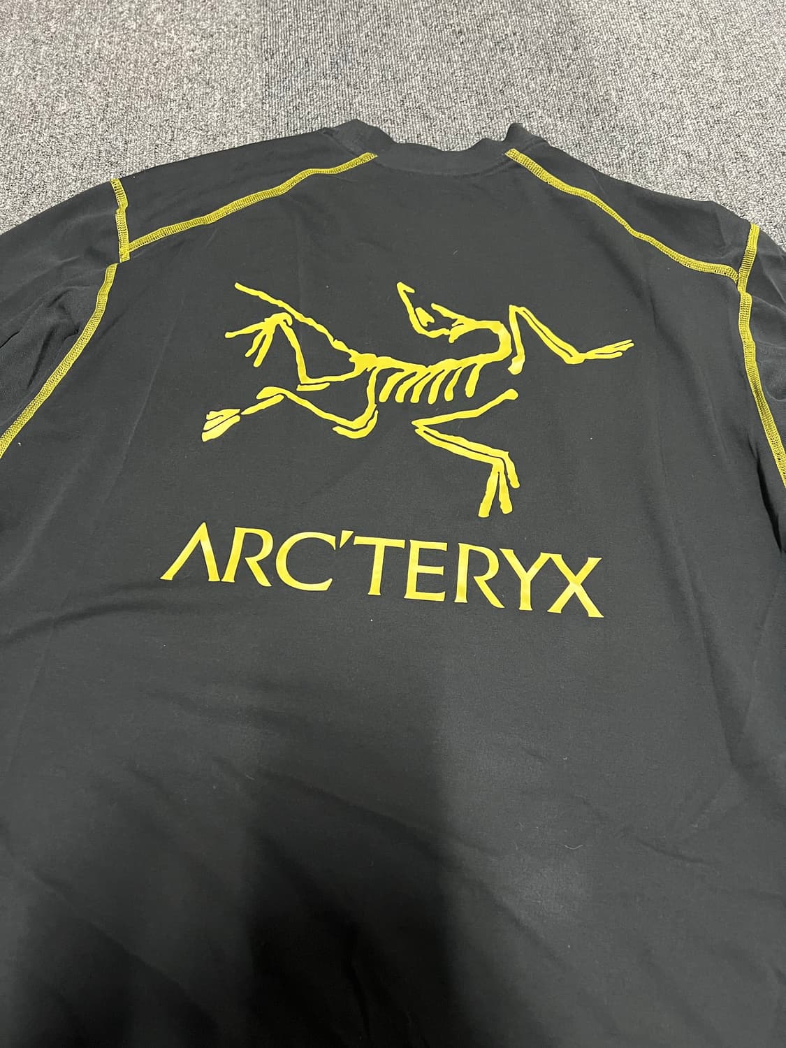 [L] 아크테릭스 시스템 A 코팔 롱슬리브 버드 티셔츠 테라리움 상품이미지2