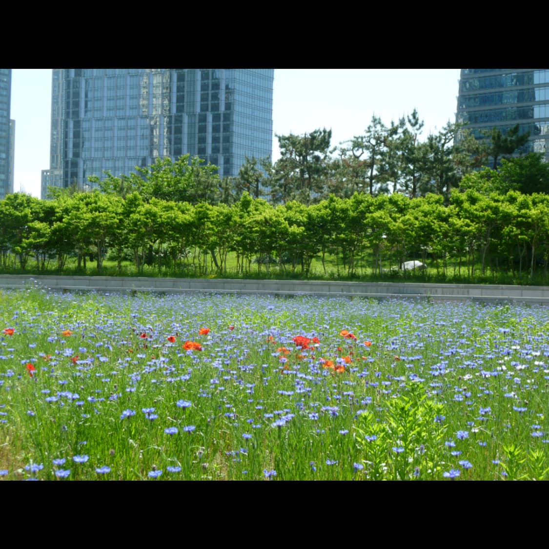 작례⭕️ 파나소닉 루믹스 DMC-ZX3 상품이미지3