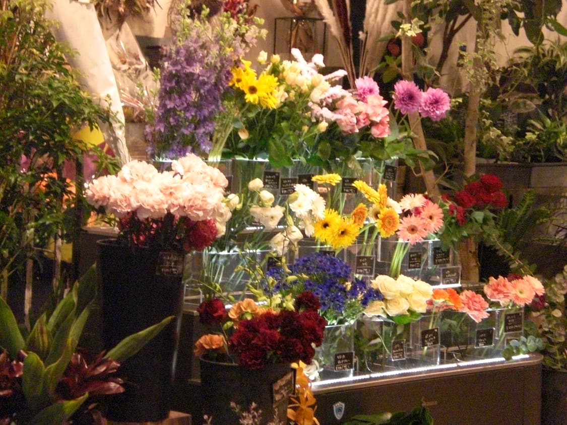 핑크 빈티지 디카 카시오 엑슬림 Z77 작례o 상품이미지6