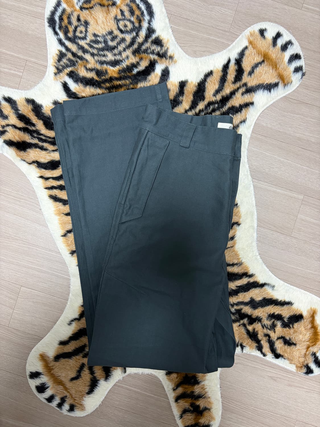 MPa PLANT PANTS (PLANT) 상품이미지1