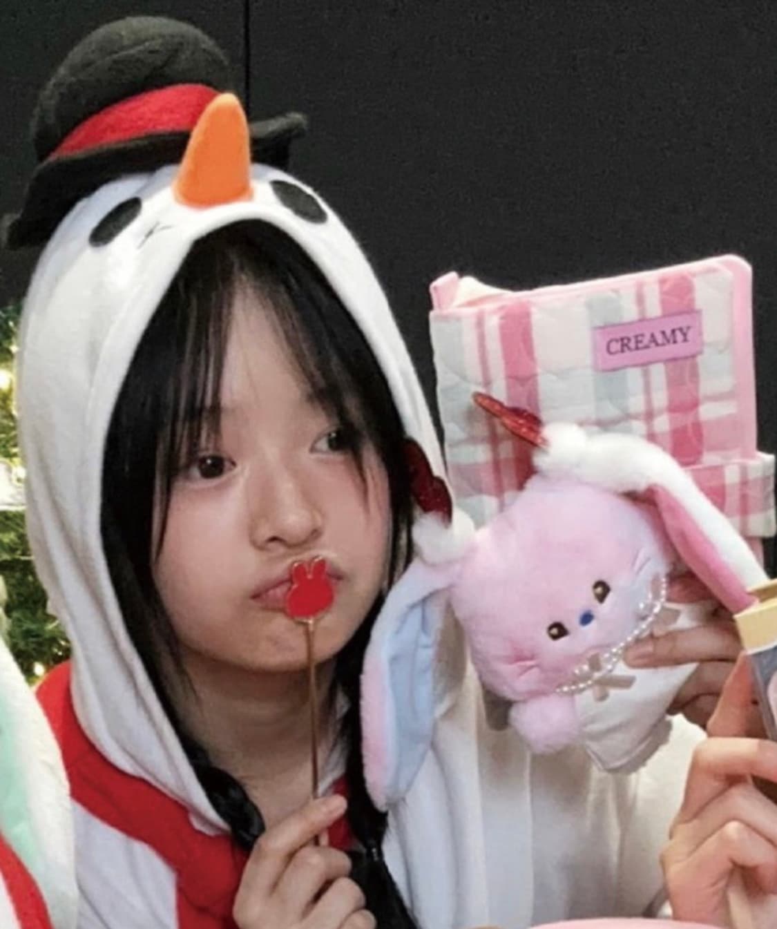 뉴진스하니 북커버 ՞ ܸ. .ܸ՞ 상품이미지2