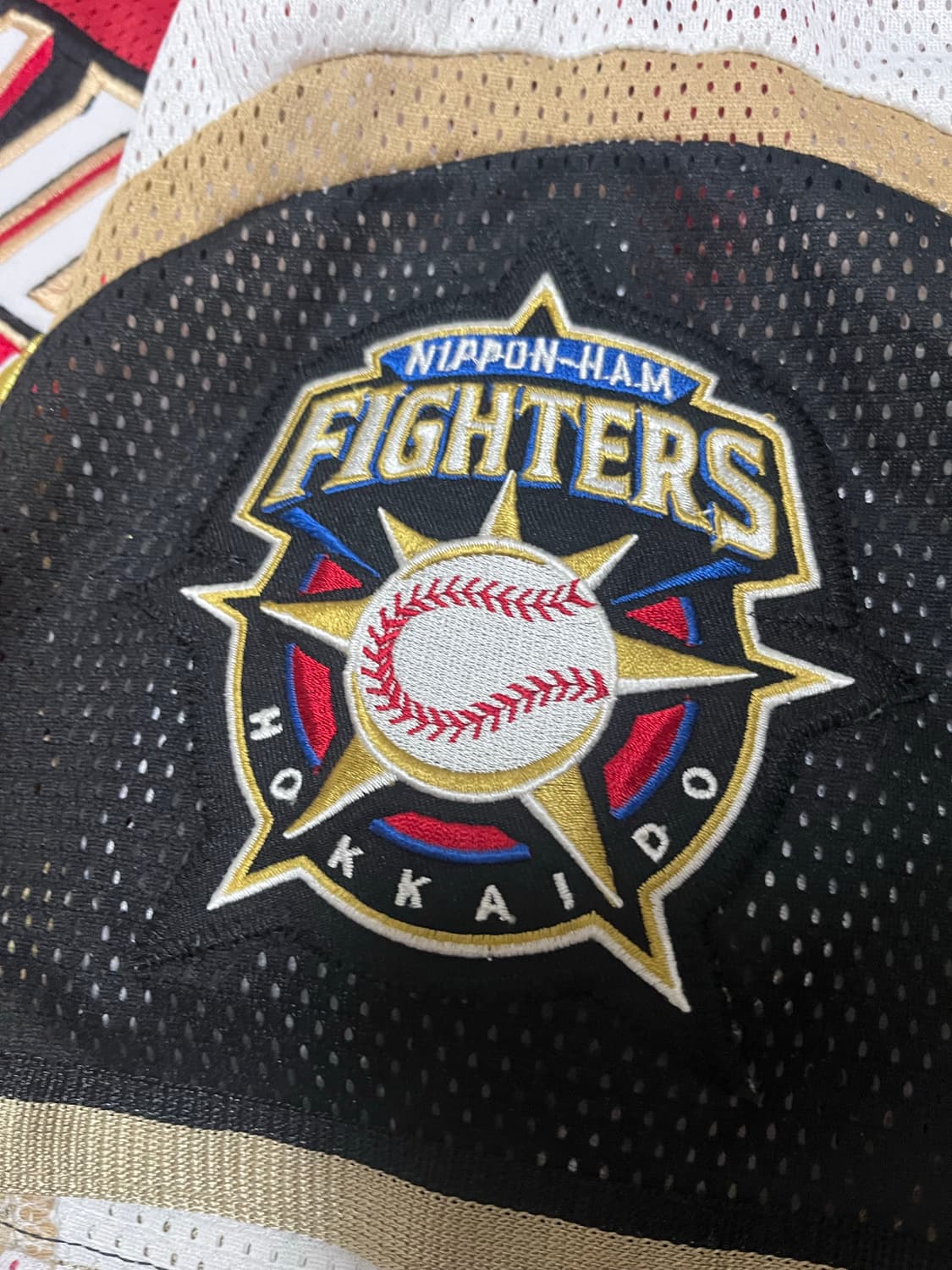 미즈노 니혼햄 파이터스 오타니 홋카이도 시리즈 하코다테 유니폼 상품이미지4