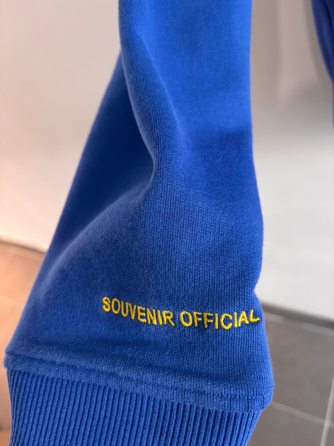 Souvenir official EU flag hoodie 상품이미지3
