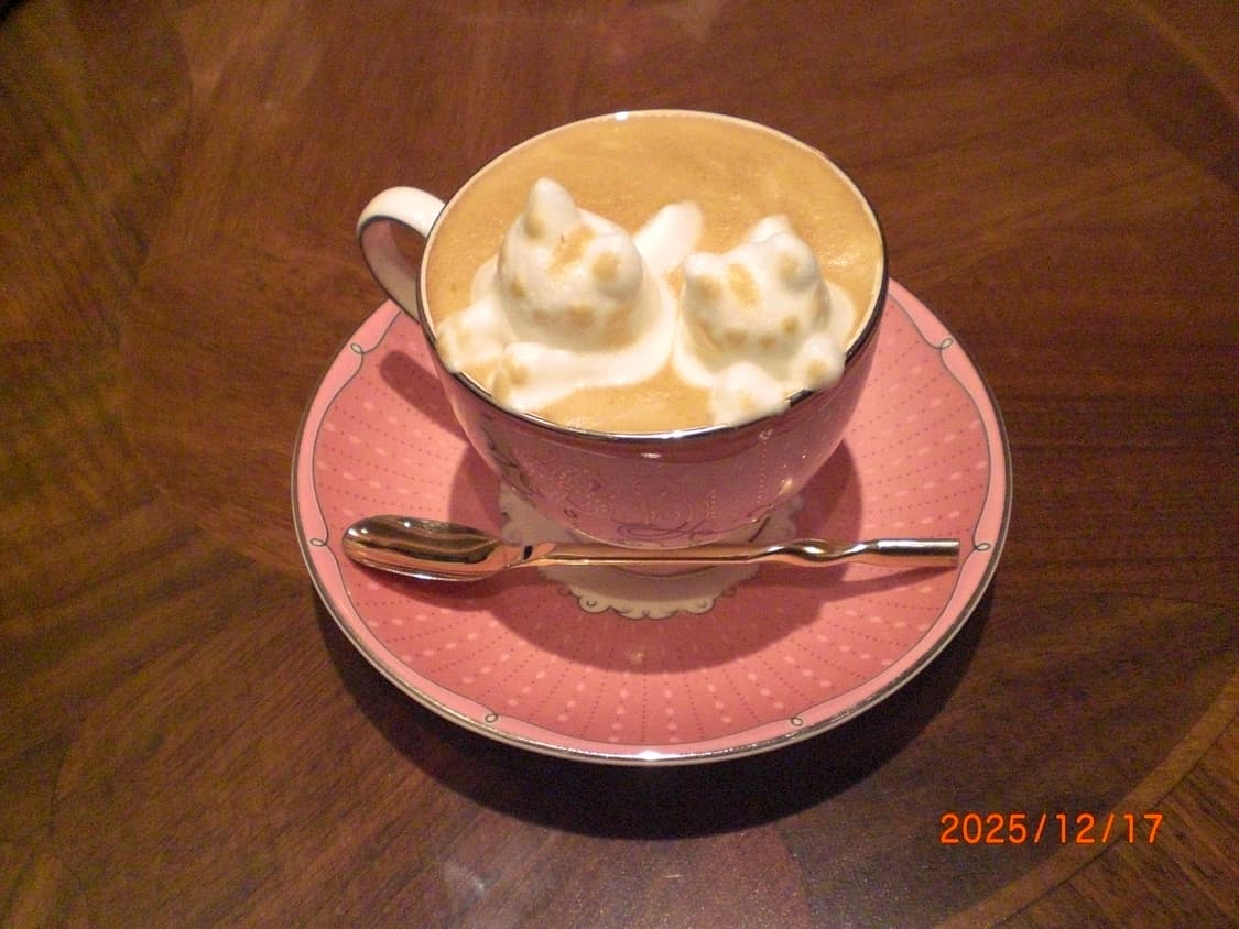 카시오 ex-z77 핑크 디카 상품이미지5