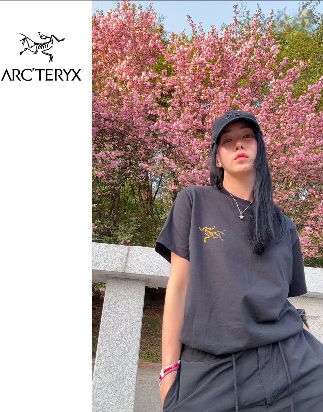 아크테릭스 반팔티셔츠2 상품이미지7