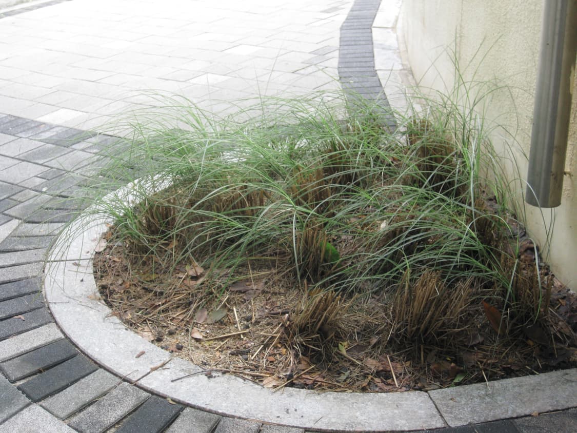 캐논 익서스 90 IS 디카 / 빈티지 디카 상품이미지8