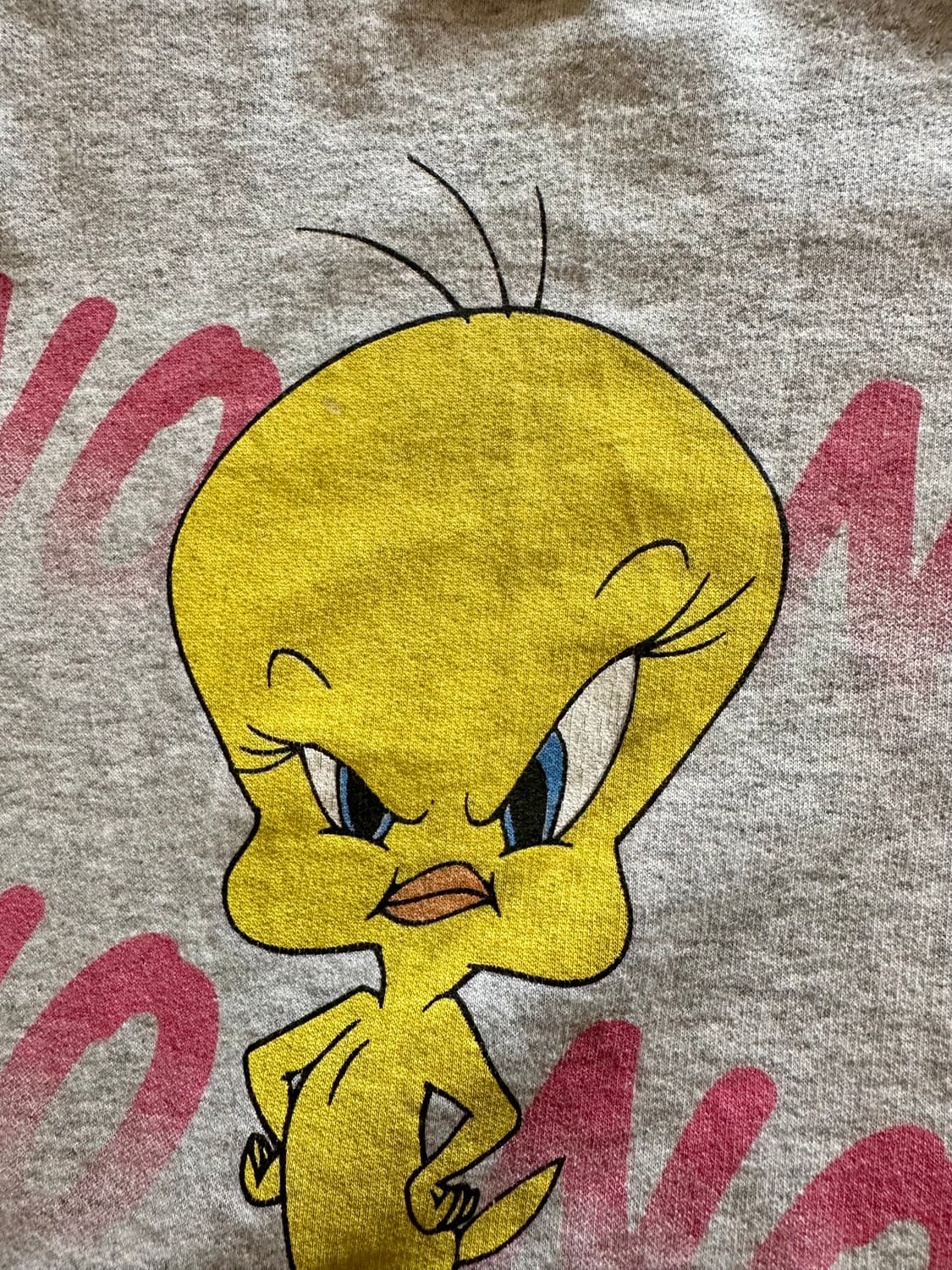 90s Looney Tunes "ABSOLUTELY NOT" Tweety 상품이미지3