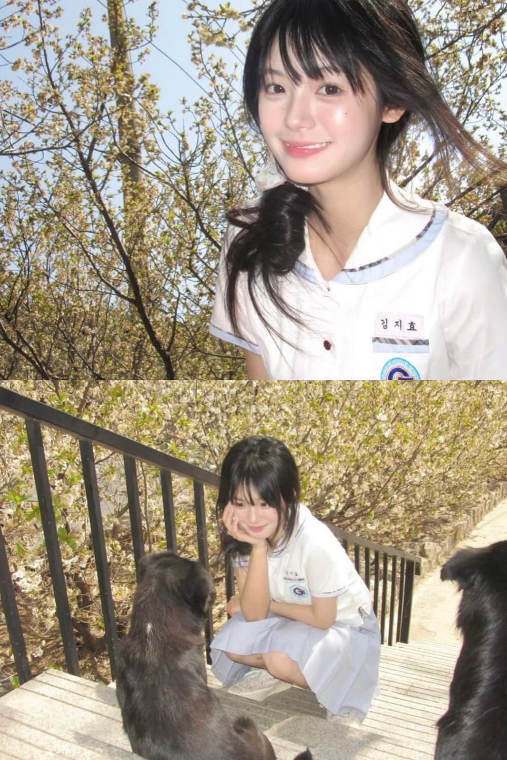 작례🫧𖠳ᐝ 올림푸스 olympus mju 1060  상품이미지2