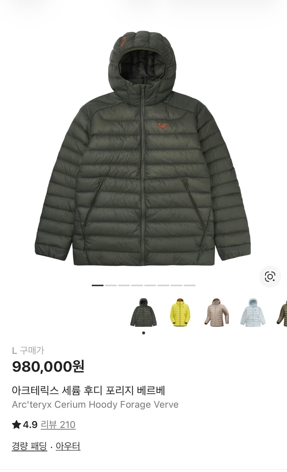 (L,XL)아크테릭스 세륨 포리지 베르베 새상품 상품이미지1