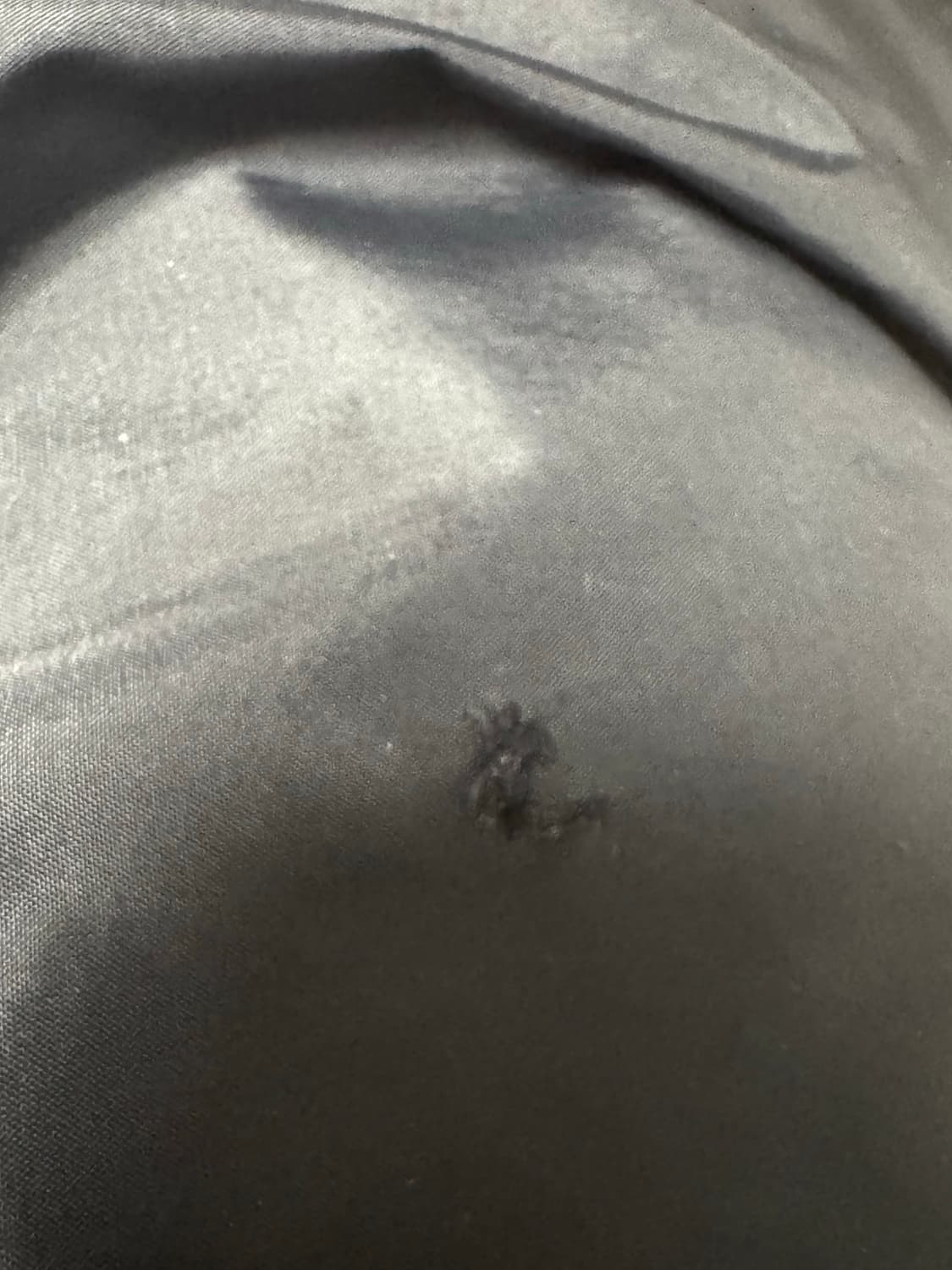 Cdg 바시티 상품이미지4