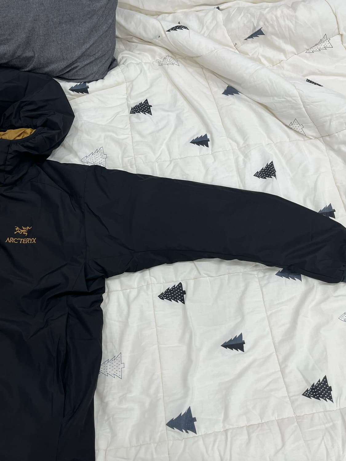 아크테릭스 아톰 AR 빈티지 상품이미지7