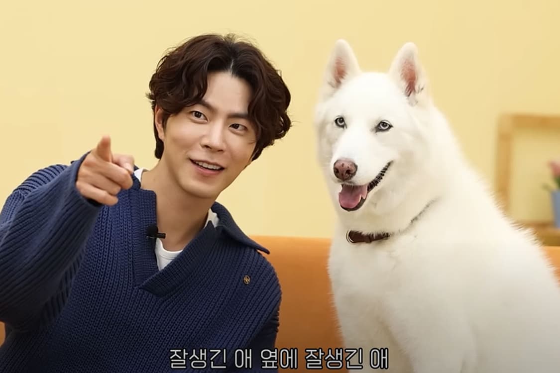 렉토 오픈카라 니트 스웨터 상품이미지3