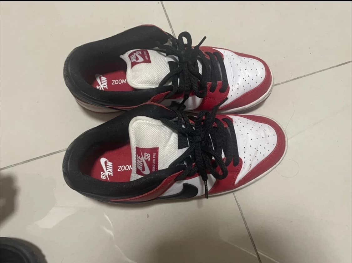 나이키 sb덩크 시카고 270 상품이미지2