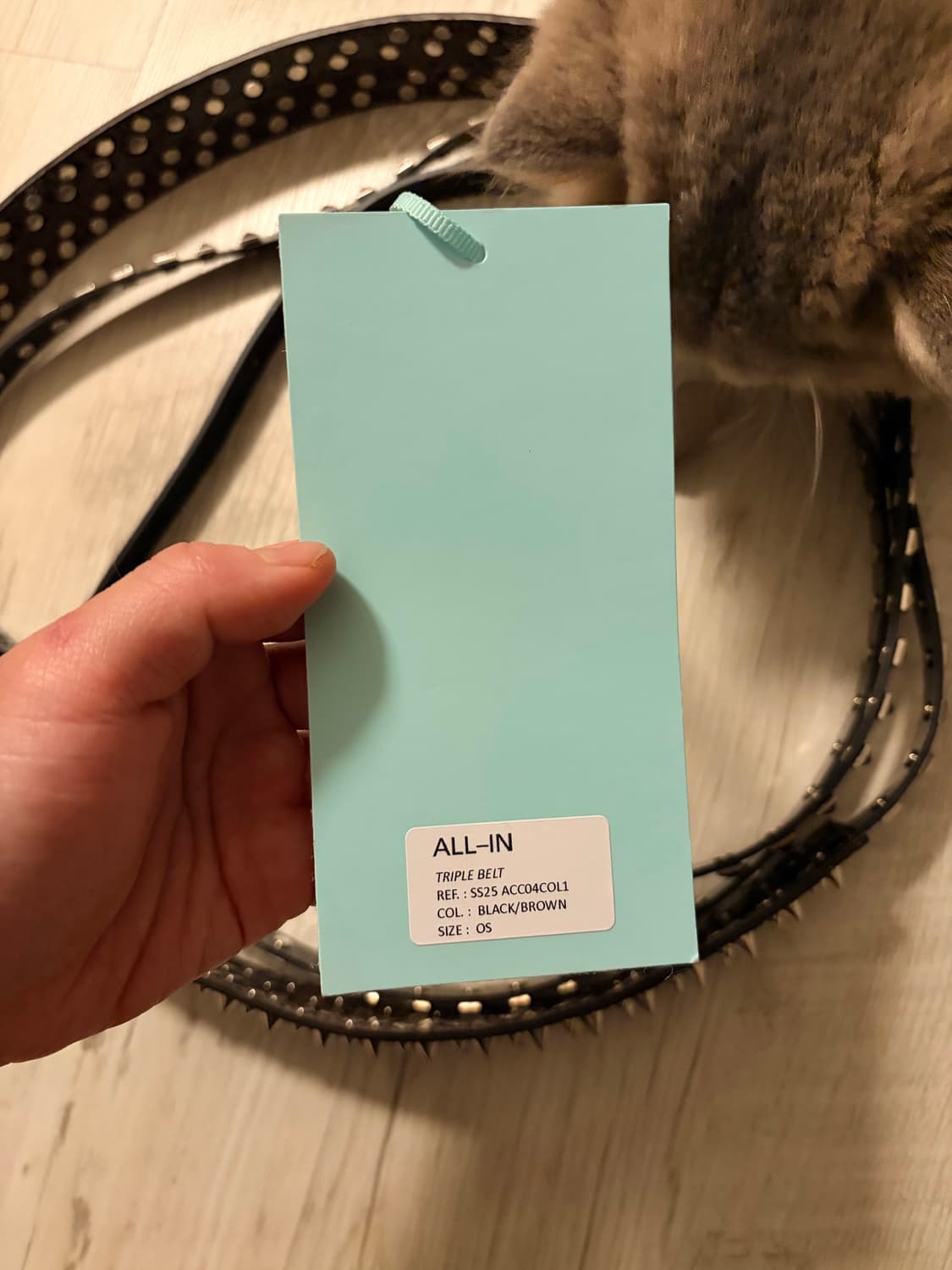 all in / august barron 브라운 블랙 벨트 상품이미지6