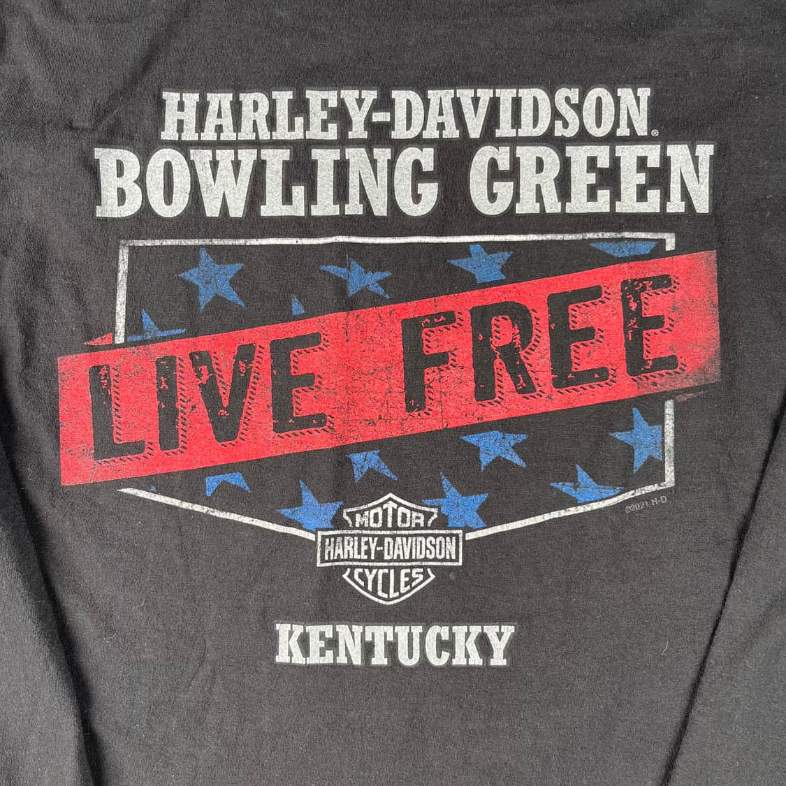 할리데이비슨 스컬 윙 포이즌 롱슬리브 상품이미지5