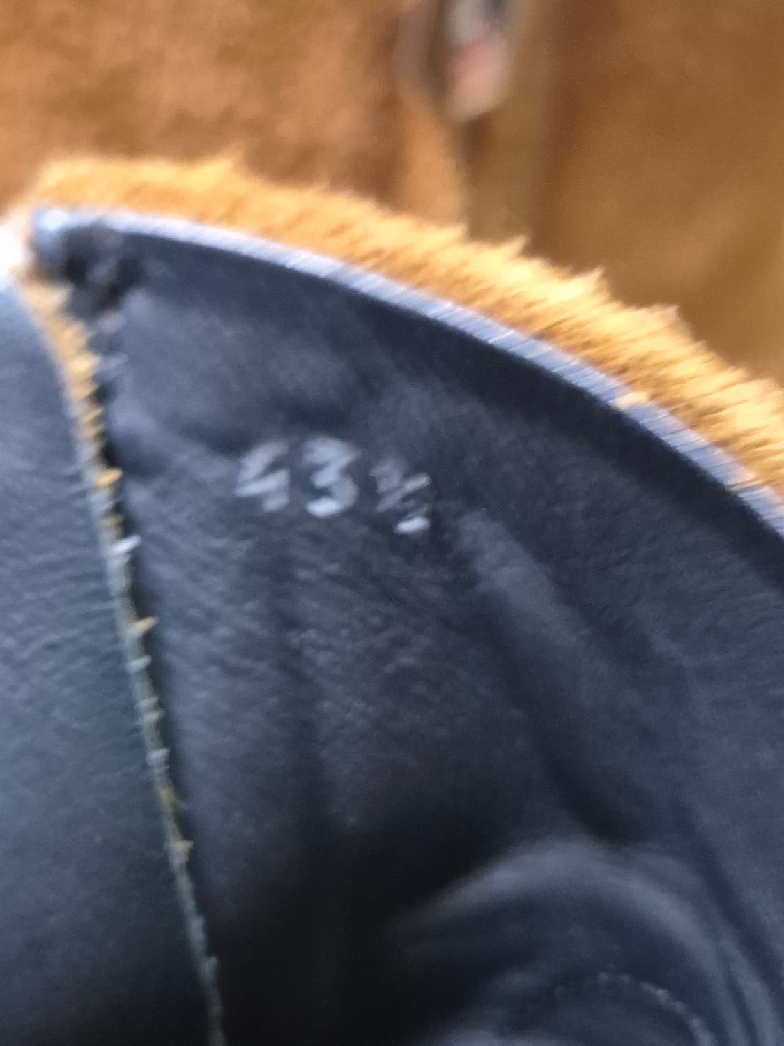 캘빈클라인 205w39nyc 스틸토 스웨이드 앵클 부츠 43.5 상품이미지5