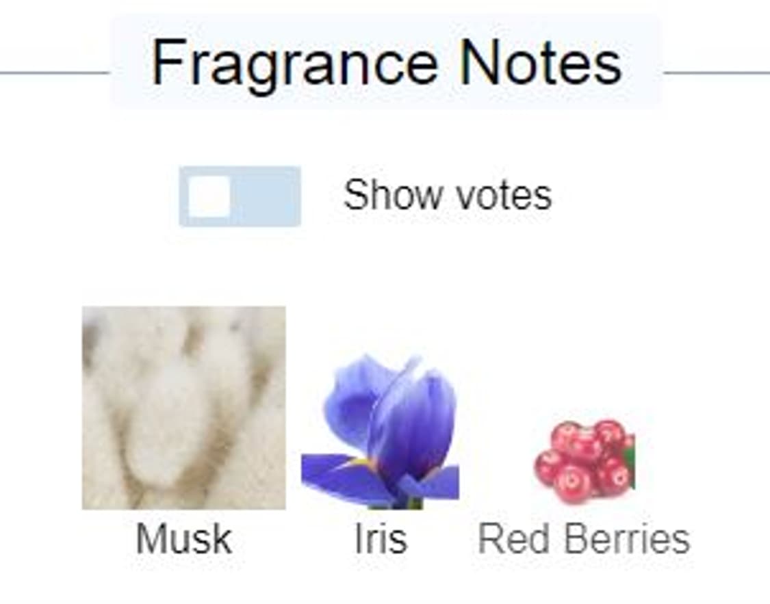 나르시소 로드리게즈 포힘 머스크 콜렉션 오드퍼퓸 EDP 50ml 향수 N 상품이미지3