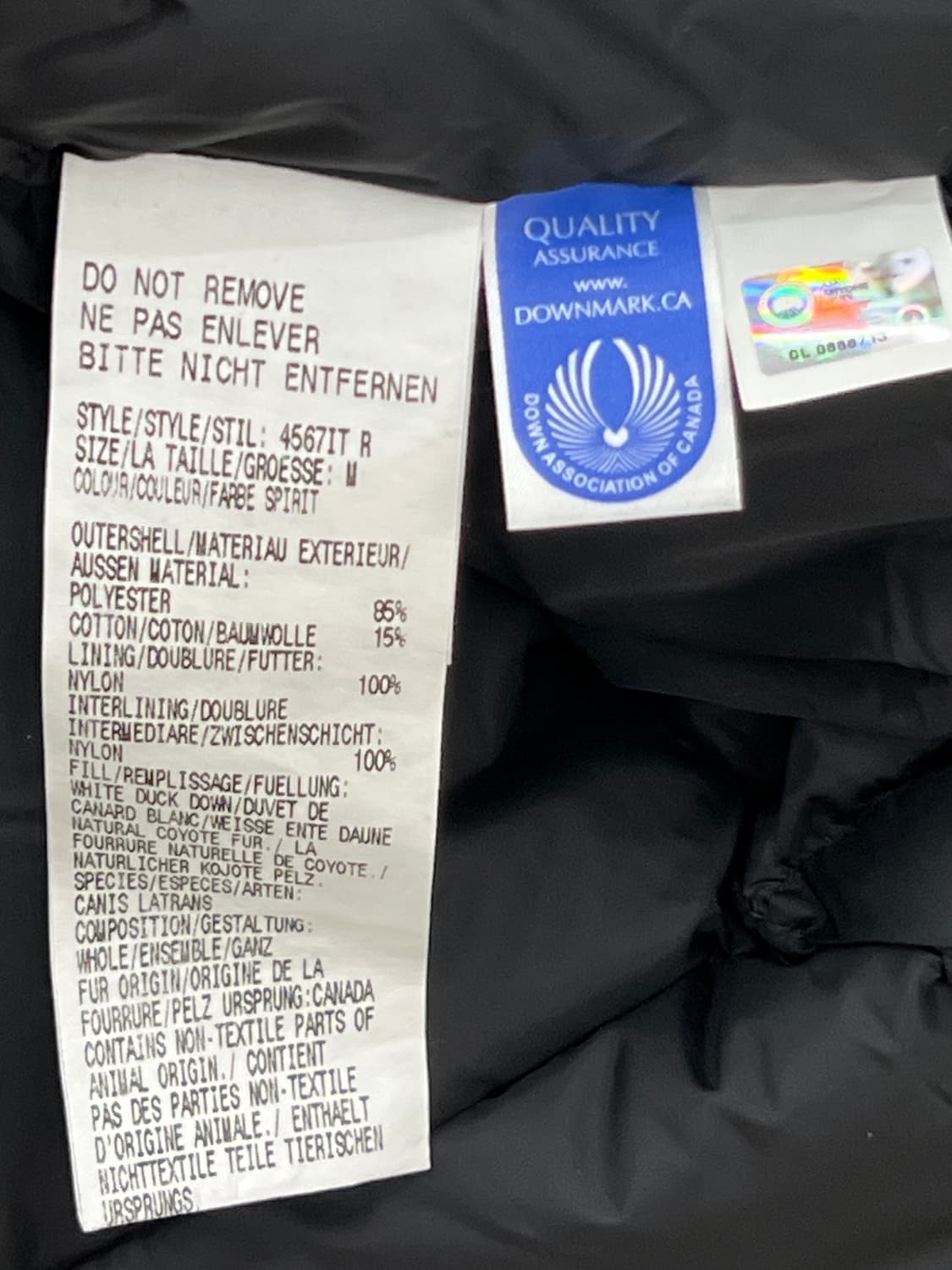 캐나다구스 시타델 파카 블루 상품이미지10