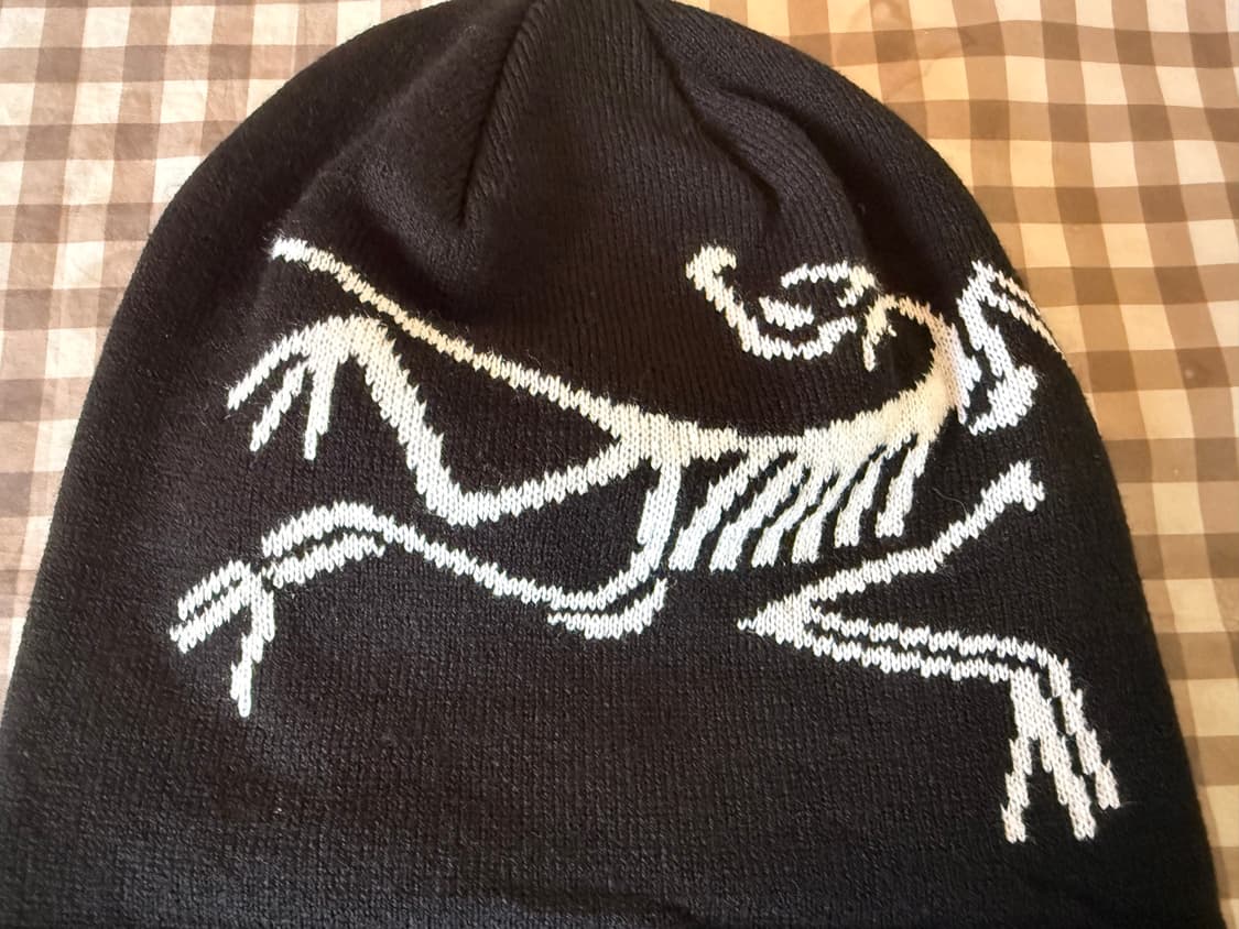 아크테릭스  상품이미지2