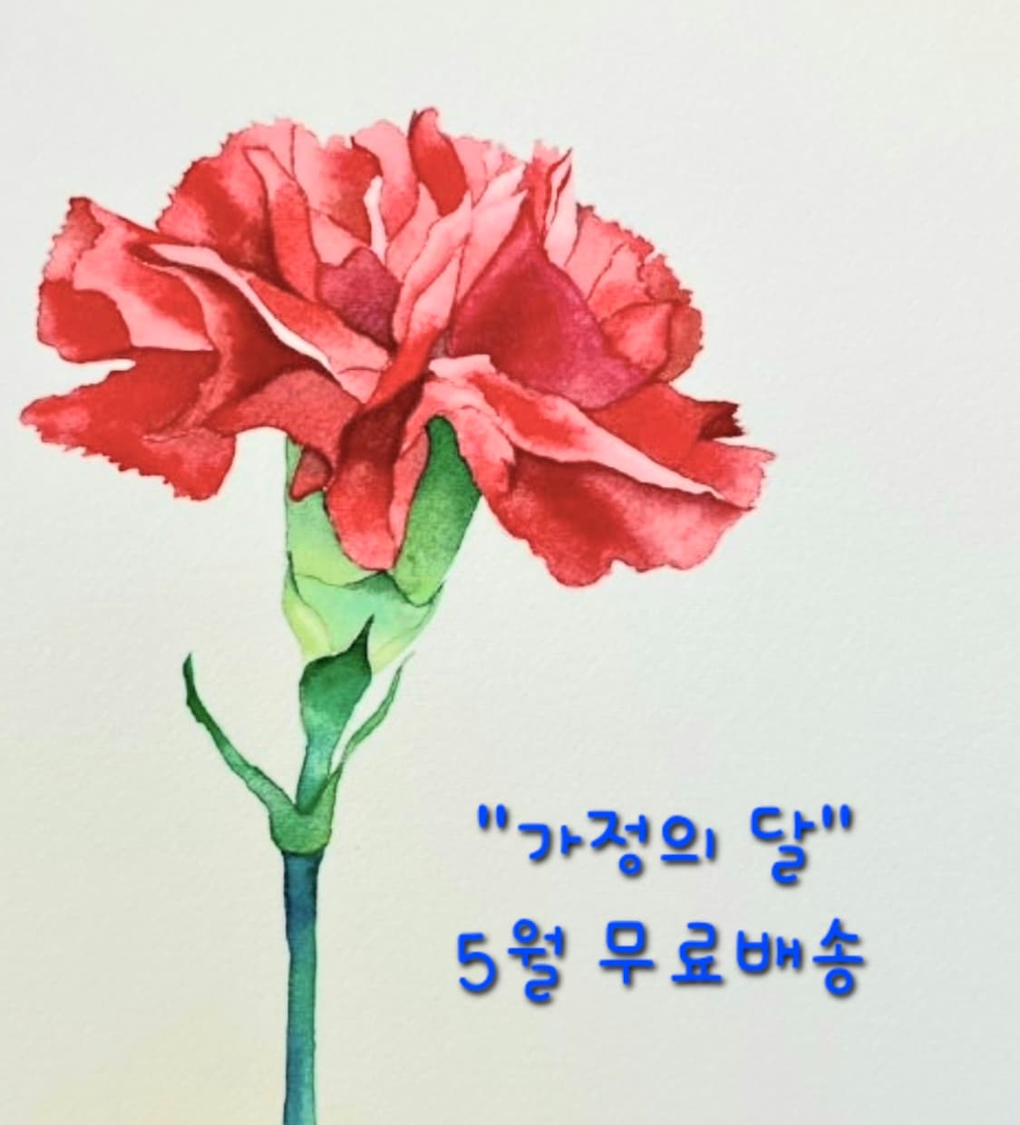 가정의달 무료배송 상품이미지1