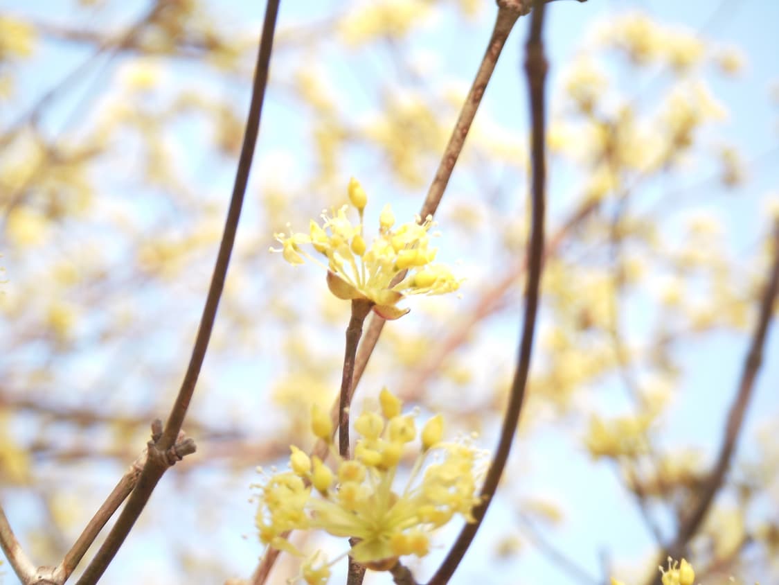 후지필름 파인픽스 z300 fujifilm FinePix Z300 상품이미지4