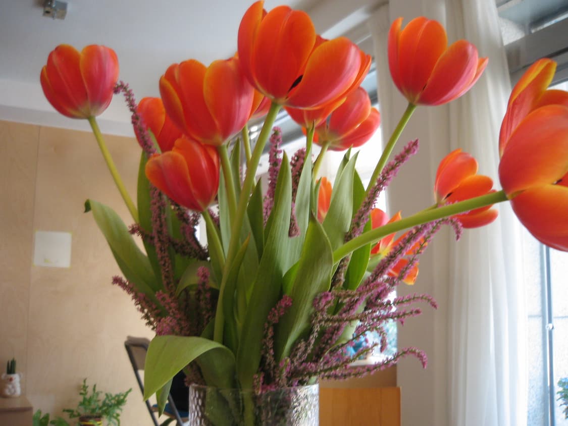 캐논 익서스 i zoom / 익시 L3 / 파워샷 sd30 상품이미지7