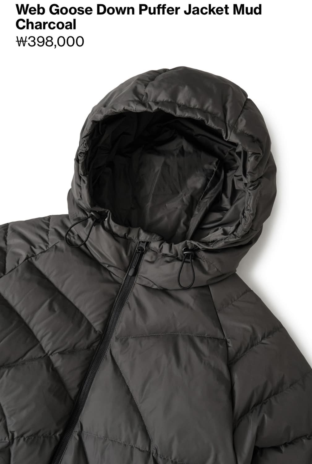 25FW  Web Goose Down Puffer Mud Charcoal 상품이미지3