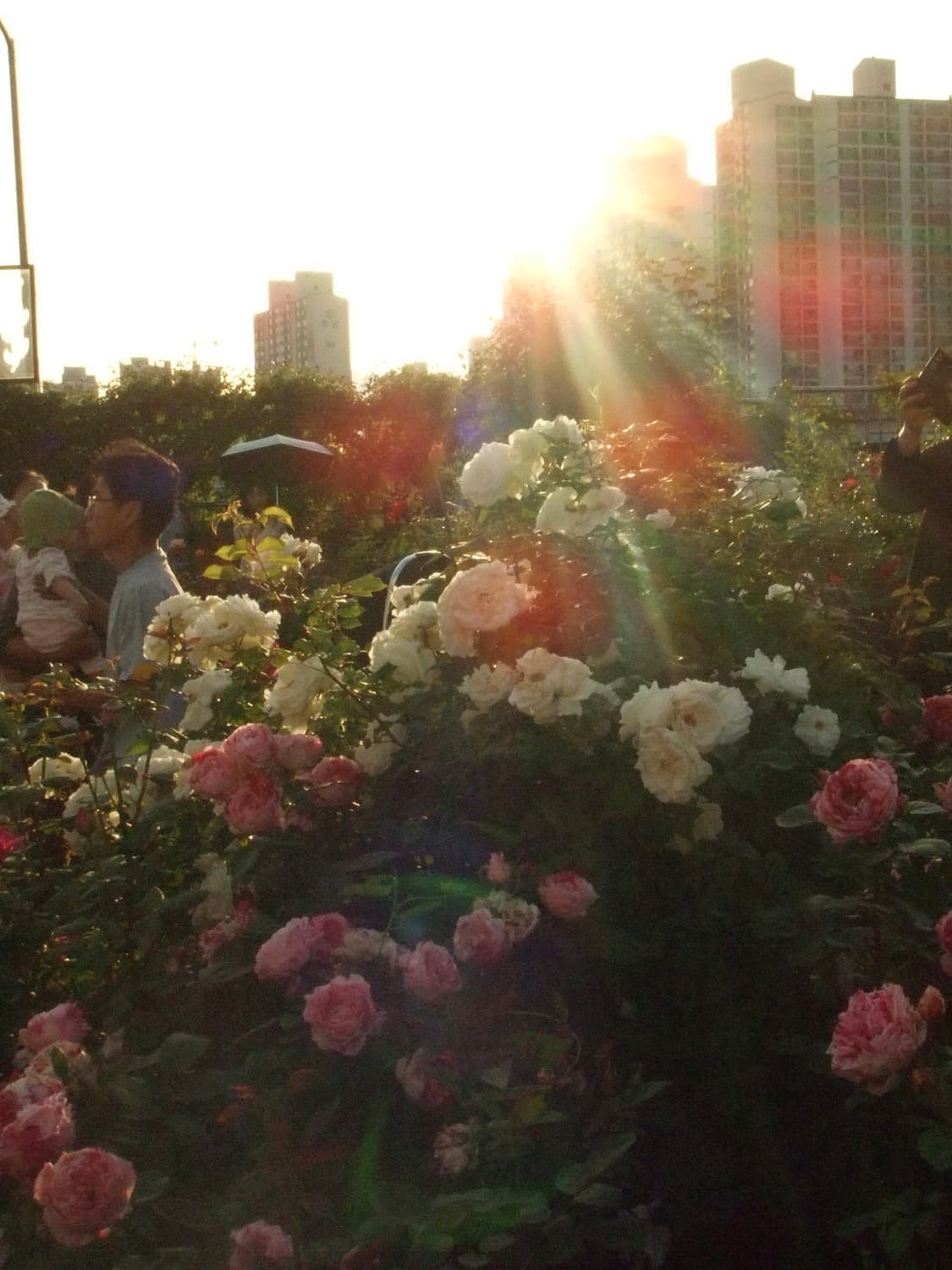[Y2K 감성/디카]✨후지필름 파인픽스(Finepix) Z5fd 판매합니 상품이미지8