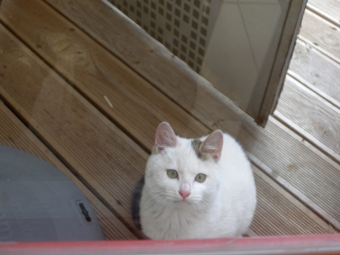 Nikon coolpix p6000 (작례ㅇ) 상품이미지6