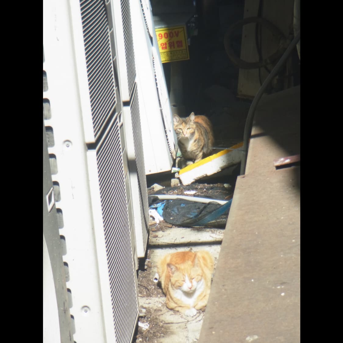 작례⭕️ 리코 PX 상품이미지2